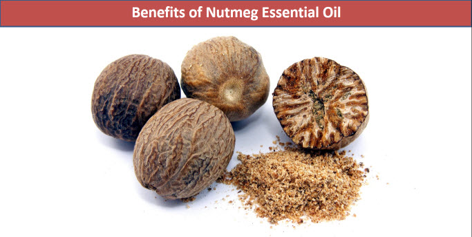 Nutmeg Oil For Skin - Benefits & How To Use It For Skin Glow