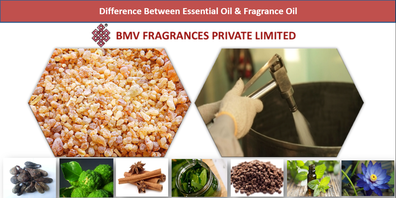 Fragrance Oils vs. Essential Oils