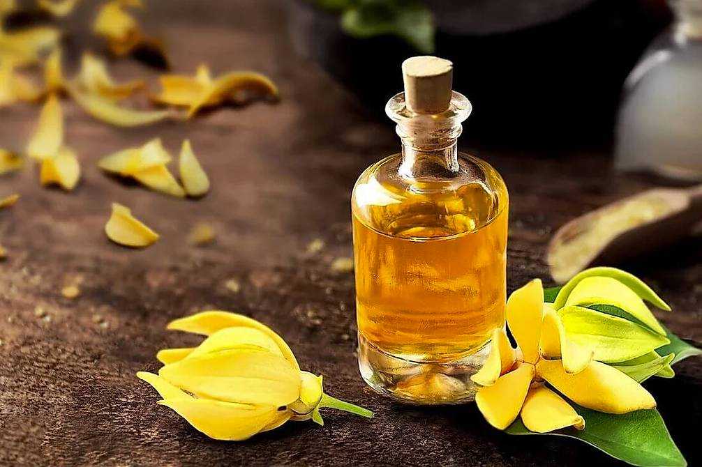 Fragrance Oils Vs Essential Oils Which is Best?