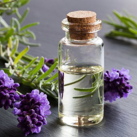 Secret of Perfume Oils for Long-Lasting Fragrance