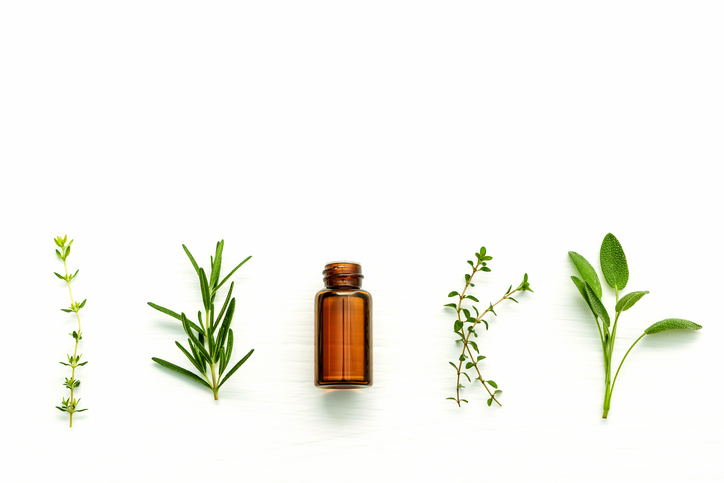 How Sustainable Are Essential Oils? — Sustainably Chic
